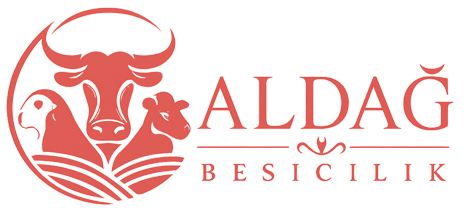 Adana Kurbanlık Satışı | Aldağ Besicilik – Büyükbaş Kurban, Küçükbaş Kurban, Adak ve Akika 